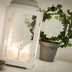 First & Urban Oasis - By Myhomeincomo