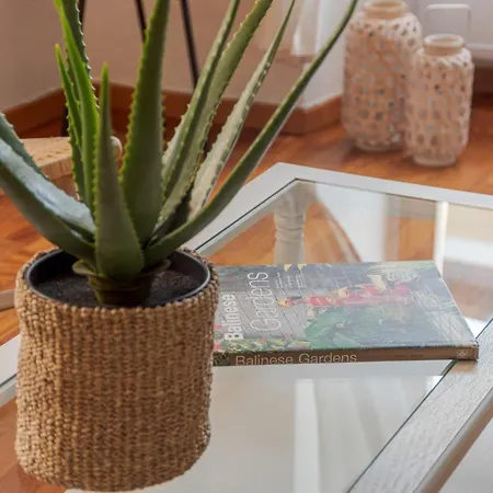 Apartment First & Urban Oasis - By Myhomeincomo